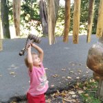 phoca_thumb_m_veverky u liky 1 Fotogalerie